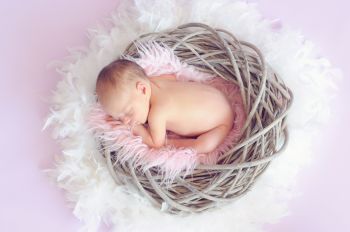Babygalerie Babygalerie