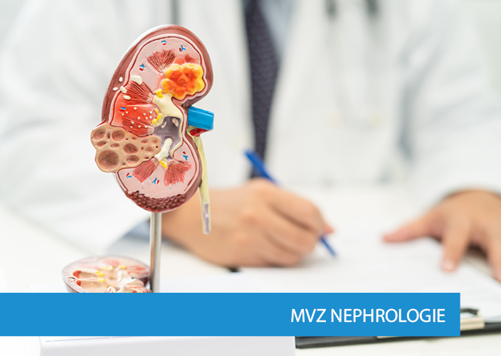 Link zu MVZ Nephrologie
Vom Klinikum Heidenheim in der Schmelzofenvorstadt Link zu MVZ Nephrologie
Vom Klinikum Heidenheim in der Schmelzofenvorstadt